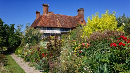 A cottage garden