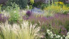 A mass of perennial plants in a garden